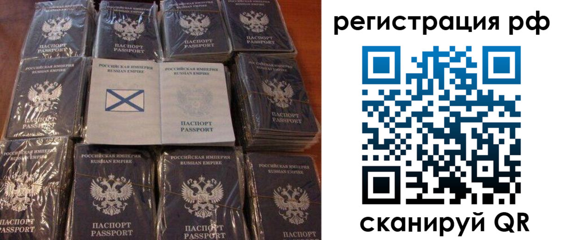 найти адрес прописки в Пионерском